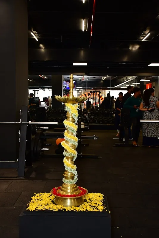 HANDSTAND Gym & Power Fitness ™ - Vasco