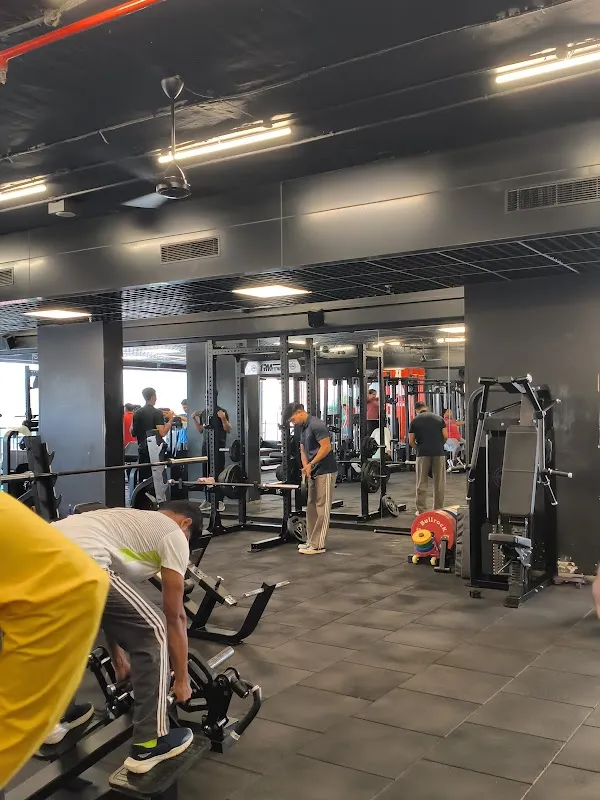 HANDSTAND Gym & Power Fitness ™ - Vasco
