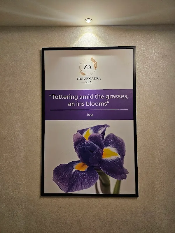 The Zen Aura Spa Jayanagar
