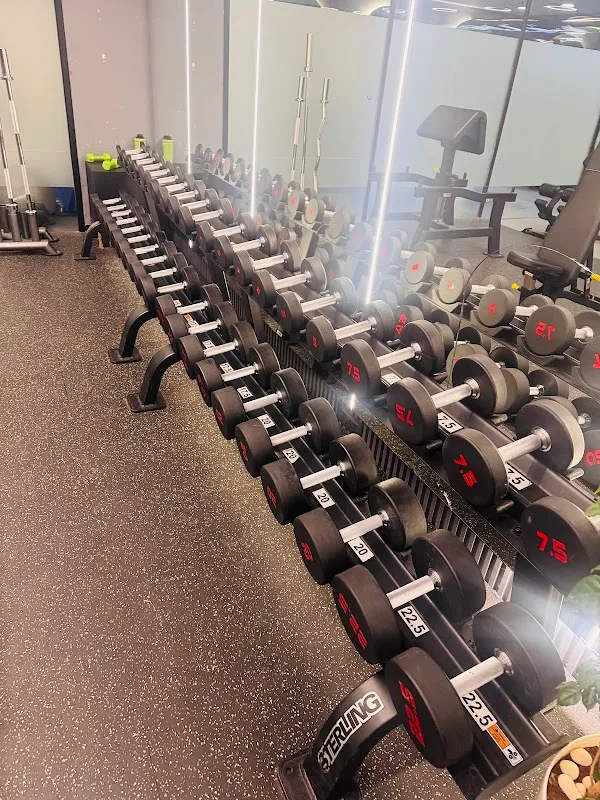 Kenzo Fitness Vashi | Kenzo pilates