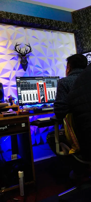 SOUNDJUNGLE STUDIO