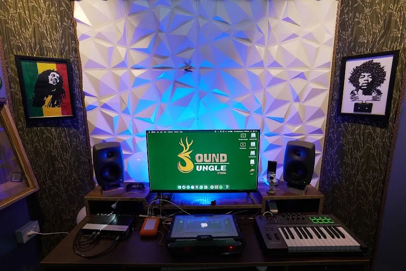 SOUNDJUNGLE STUDIO