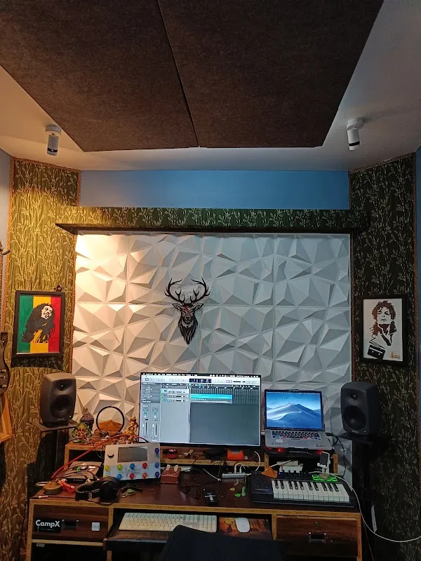 SOUNDJUNGLE STUDIO