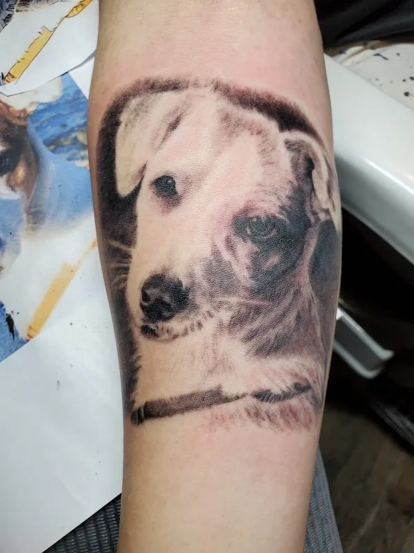 The Queens Ink Tattoo Shop