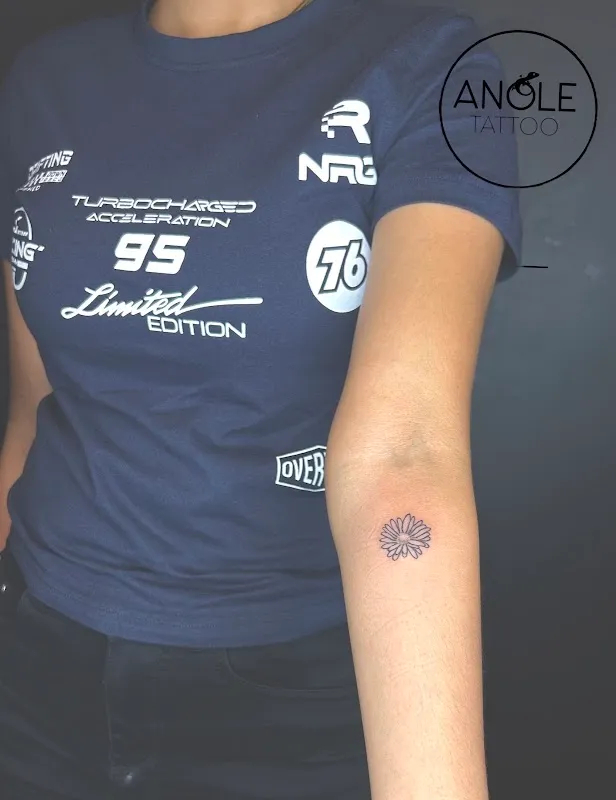 ANOLE TATTOO