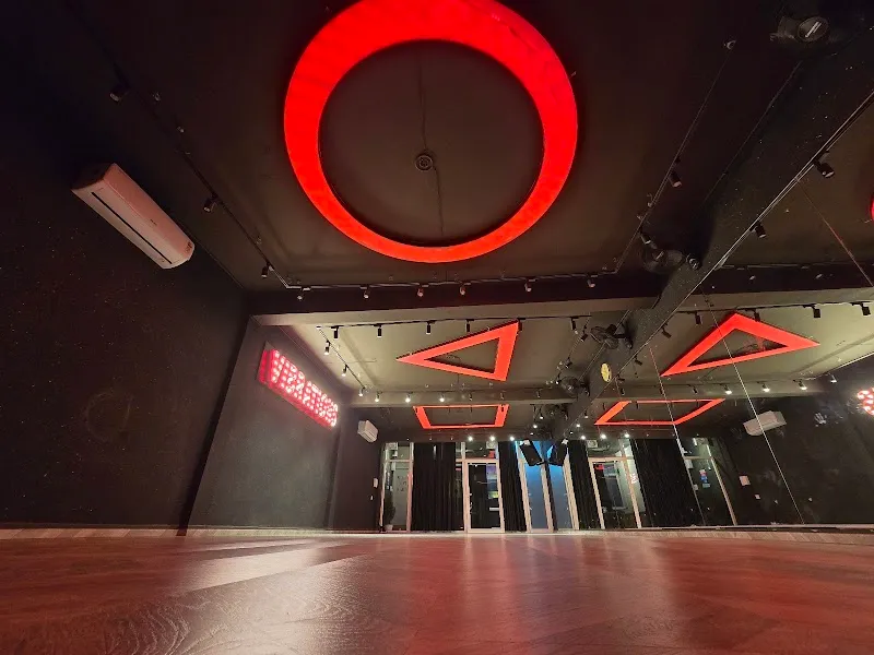Vibrations- The Dance Studio
