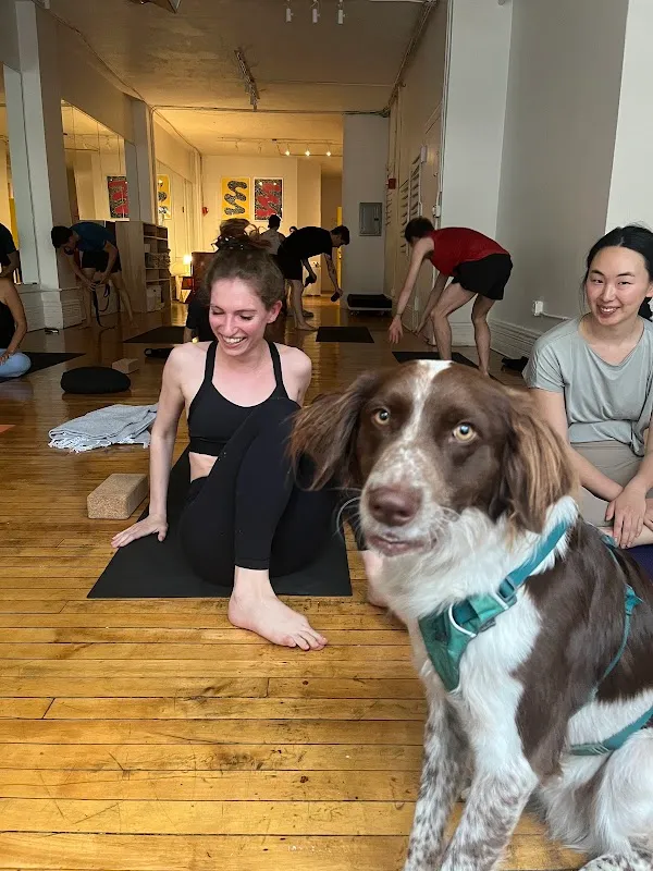 Center Yoga