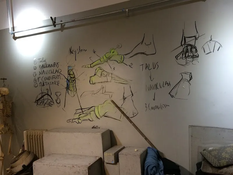 Minerva's Drawing Studio