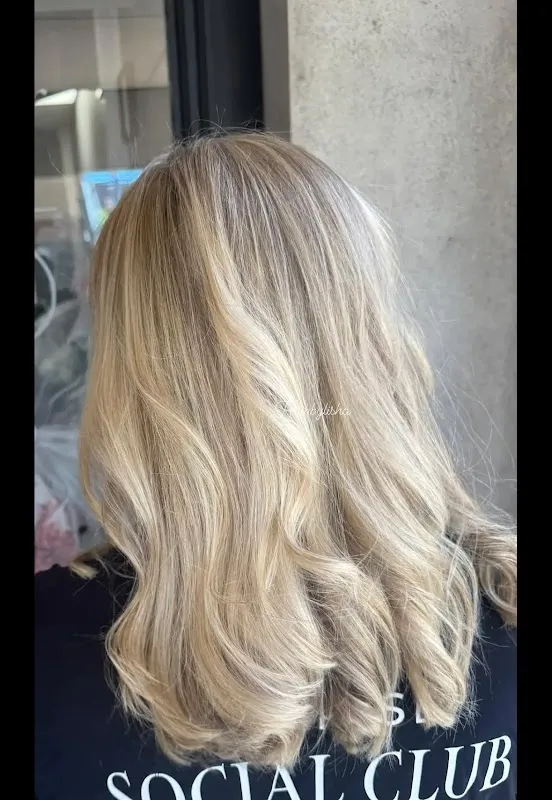 Teased & Tapered Salon