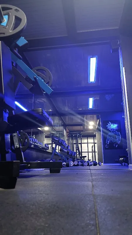 Strength Up Fitness