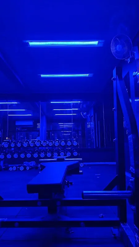 Strength Up Fitness