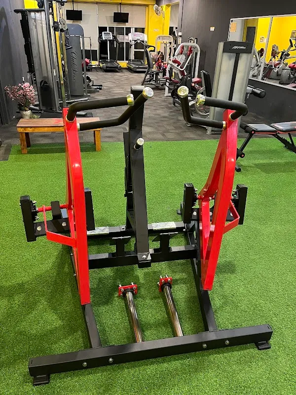 Matt Fitness