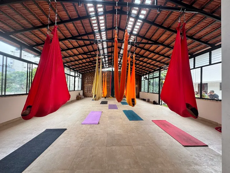 Absolute Yoga