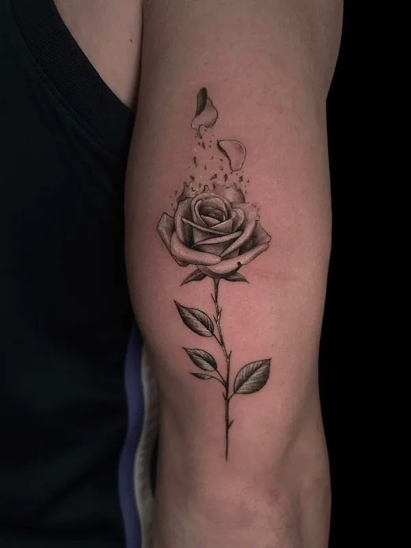 Daruma Tattoo Shop