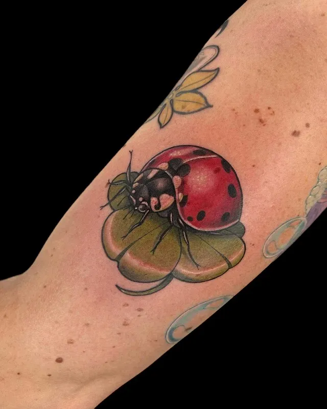Daruma Tattoo Shop