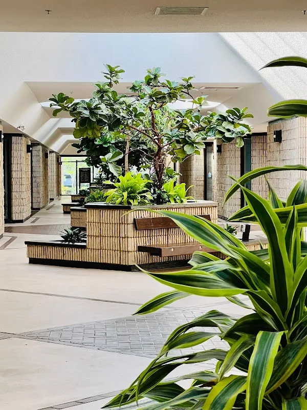 Baden Spa