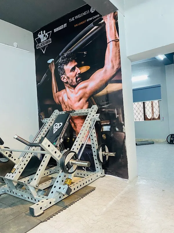 Wellness Arena unisex Gym