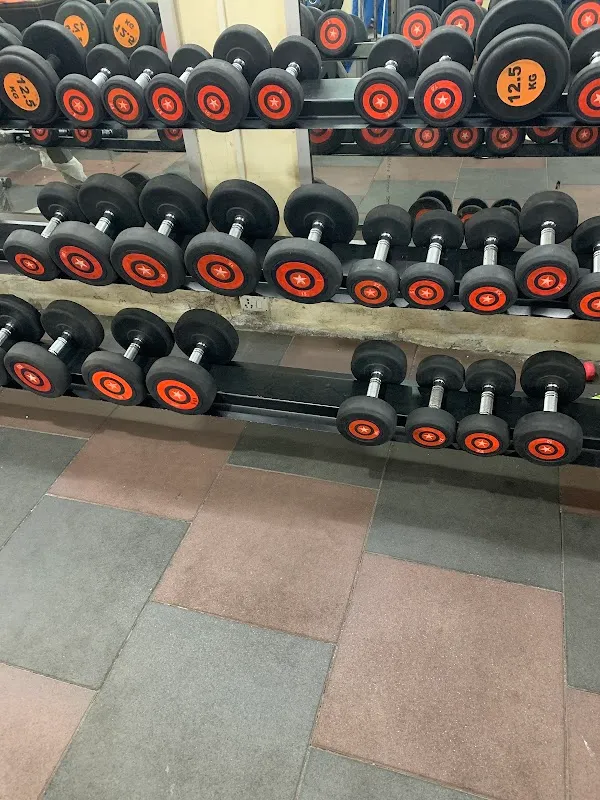 Royal Gym Fitness (Royal Palm)