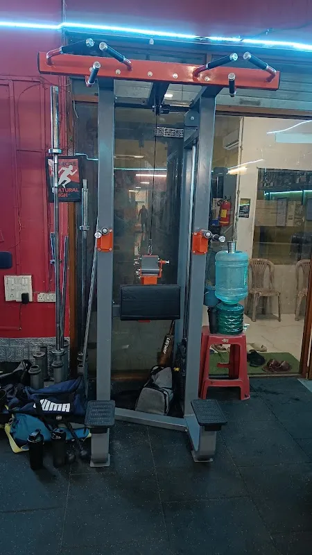 Royal Gym Fitness (Royal Palm)