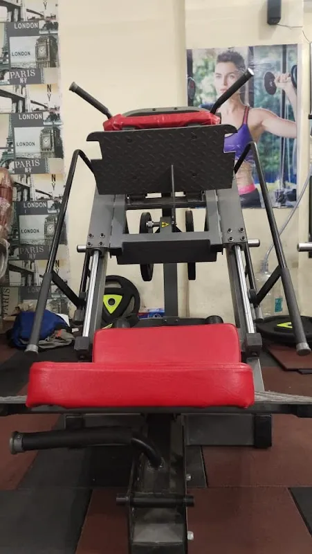Royal Gym Fitness (Royal Palm)
