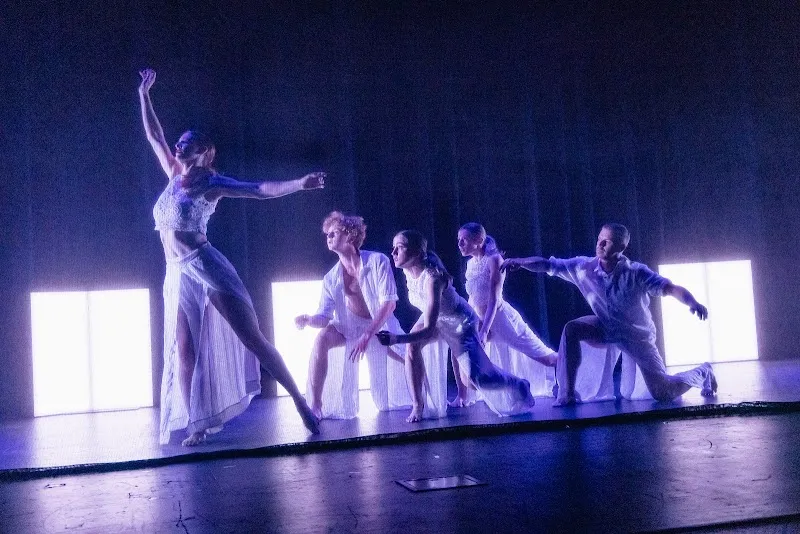The Dance Collective