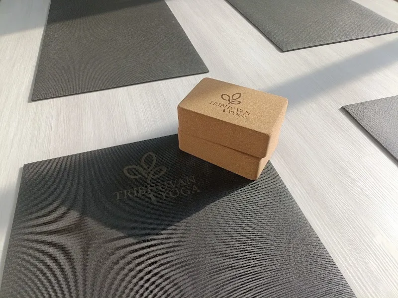 Tribhuvan Yoga Singapore