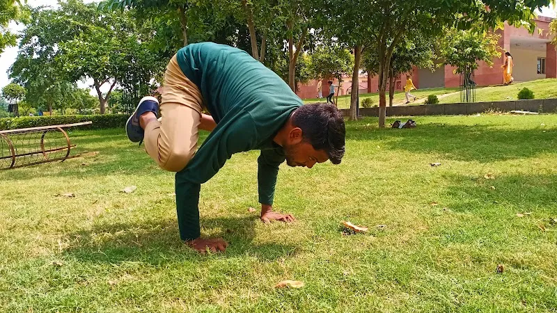 Calm Wave Yoga & Panchkarma Studio