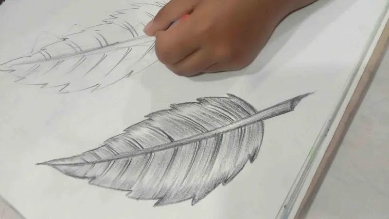 Creative Fine arts academy