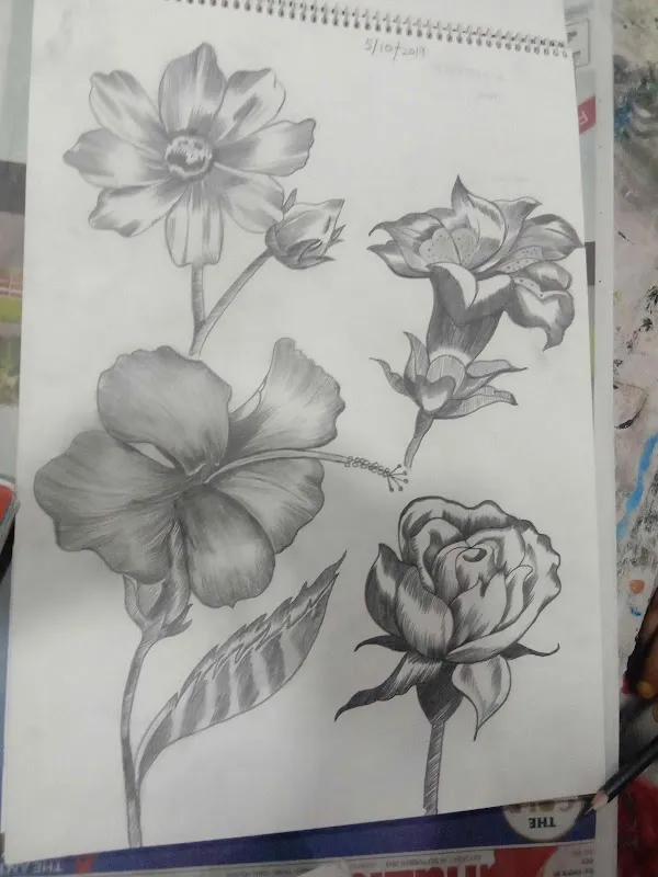 Creative Fine arts academy