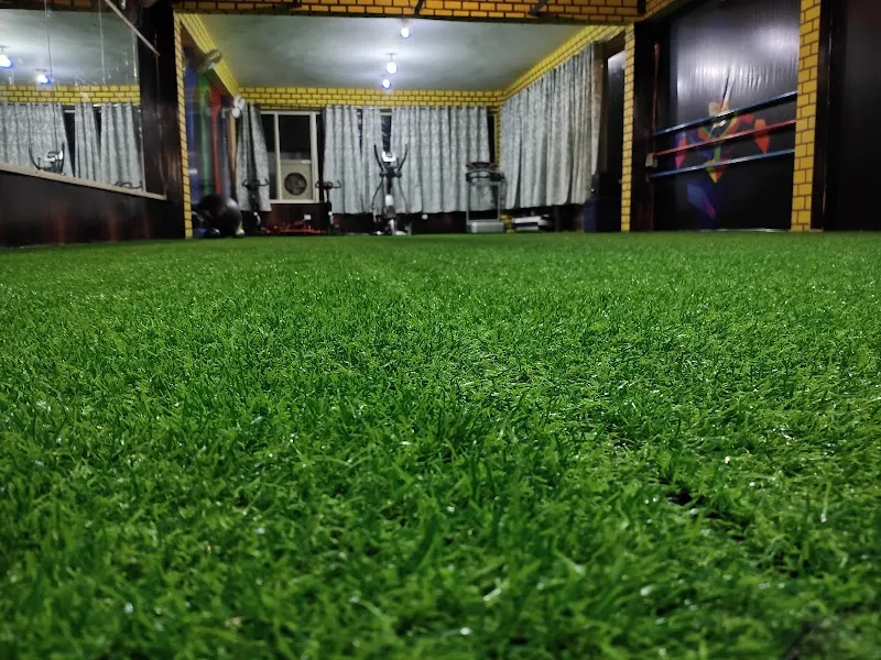 Nirvana Gym The Fitness Studio - Best commercial gym in Awadhpuri | Best fitness centre in Awadhpuri bhopal"