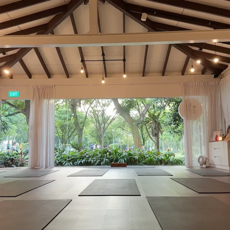 Yoga Seeds