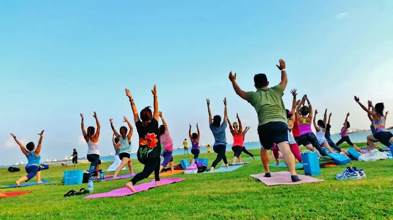 Yoga Seeds