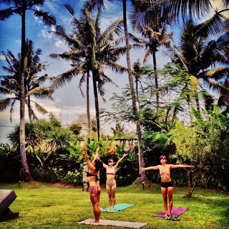 Yoga Seeds