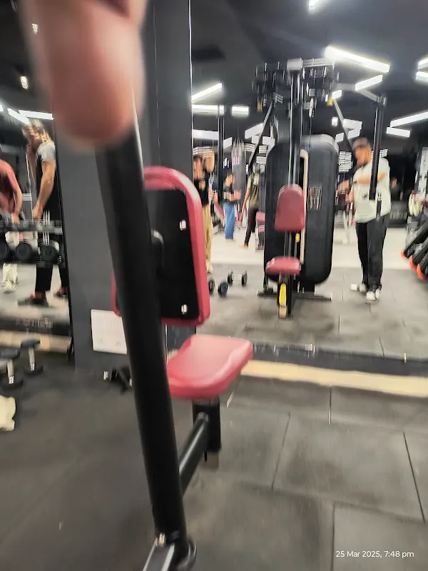 House of gains
