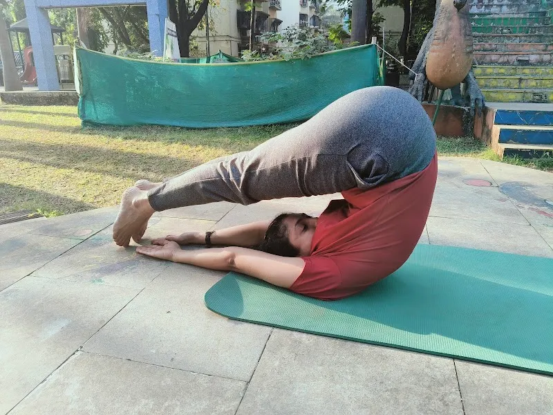 Shraddha's Yog Classes
