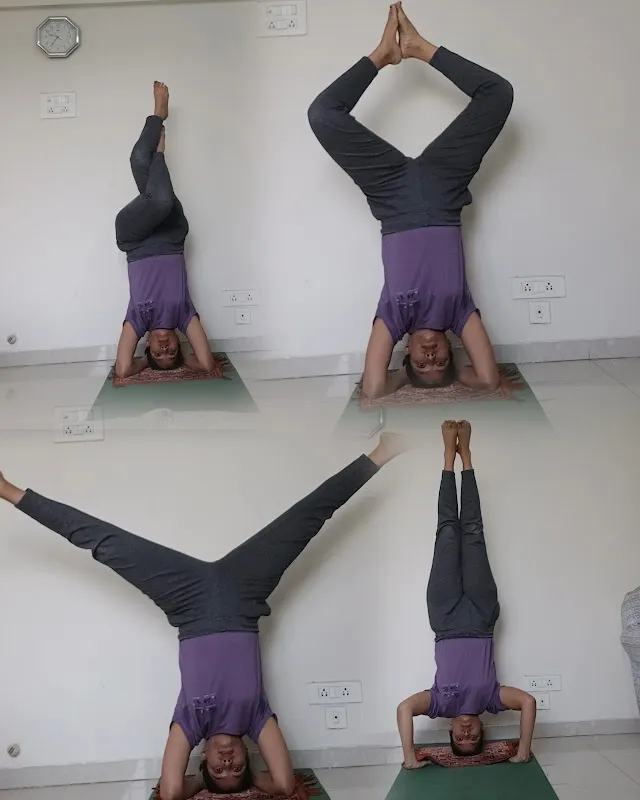 Shraddha's Yog Classes