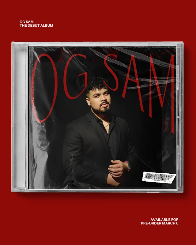 D Studios & Music Institute | Creative Agency