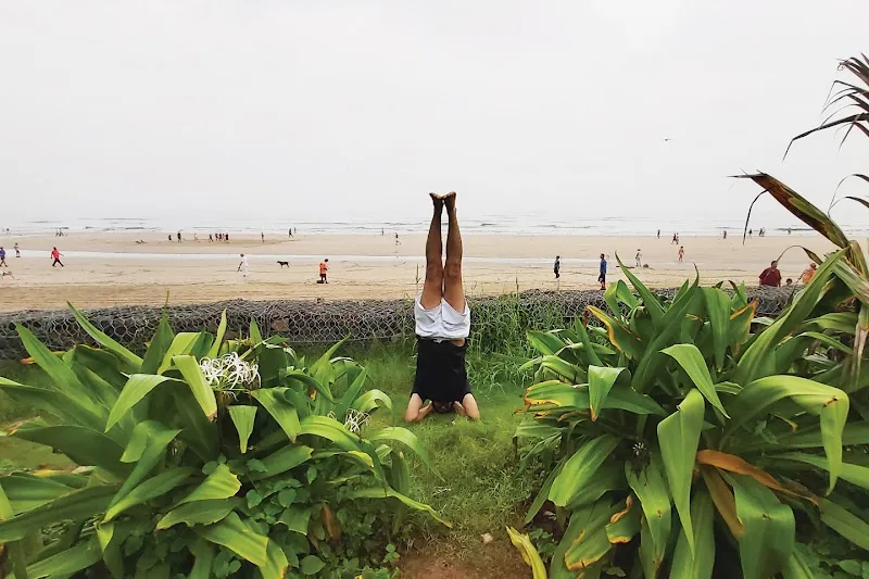 Yoga Classes