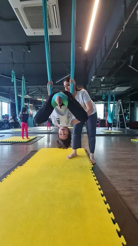 The FitBee