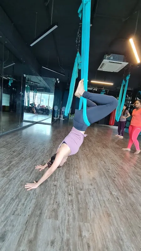 The FitBee