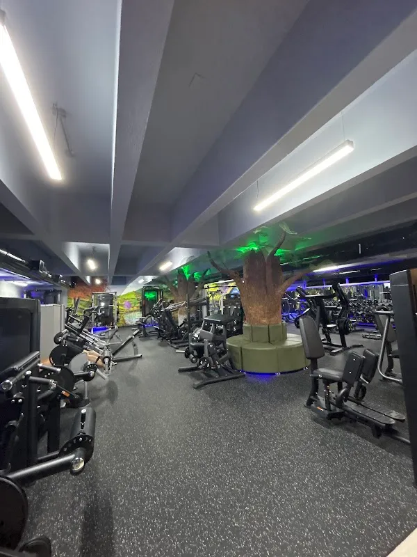 ArtShape Fitness Studio