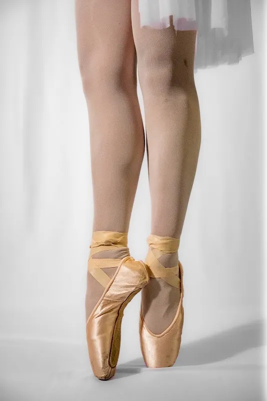 Dehner Elite Arts