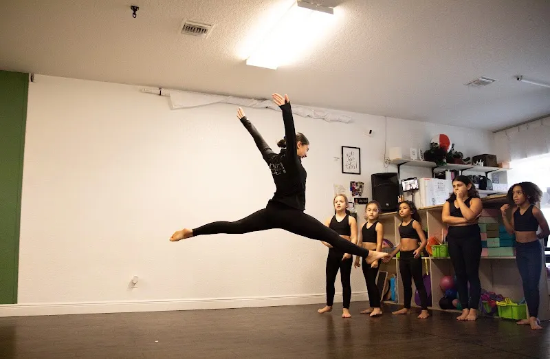 Dehner Elite Arts