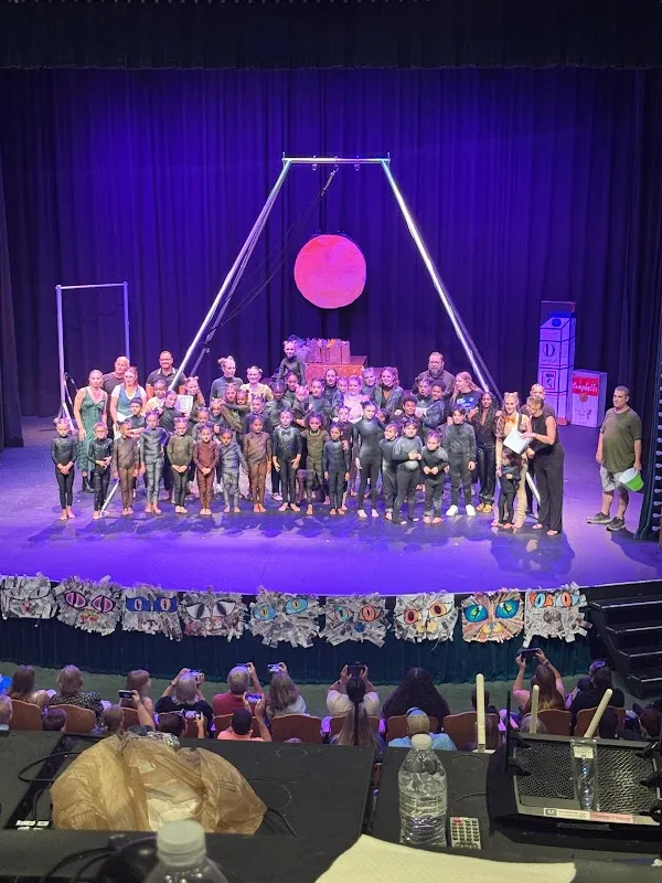 Dehner Elite Arts