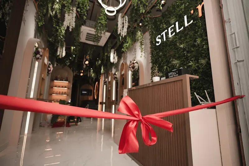 Stell’r Salon