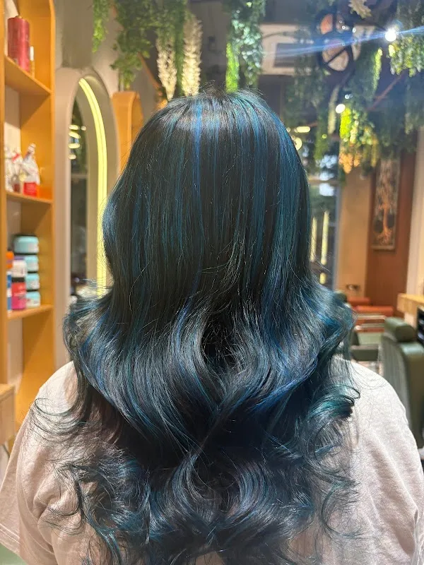 Stell’r Salon