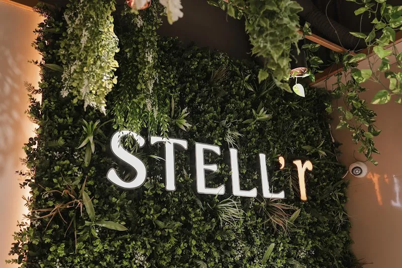Stell’r Salon
