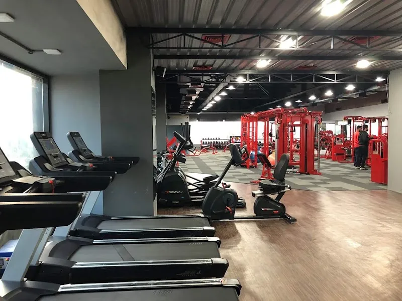 W8 Fitness