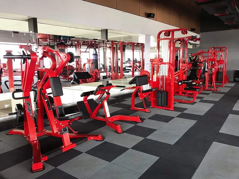 W8 Fitness
