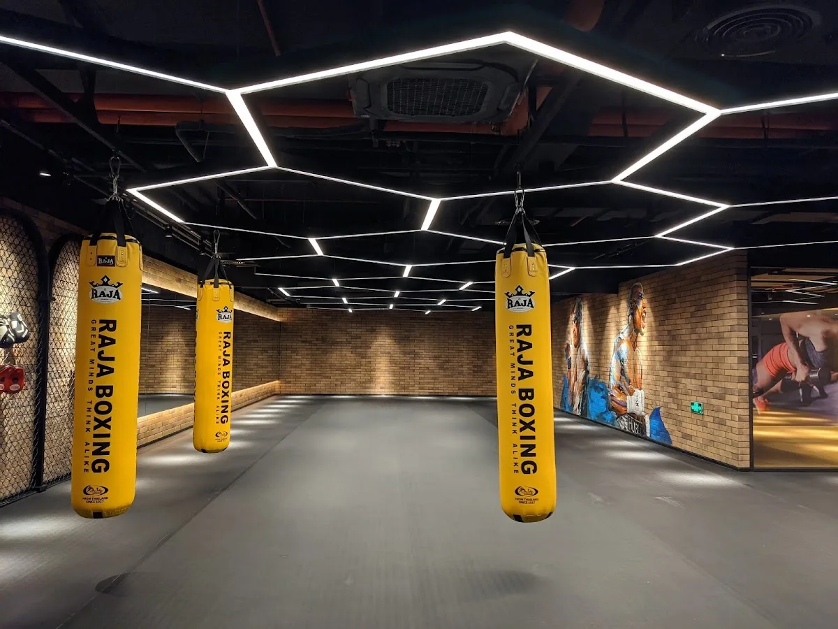 Will's Fitness Club